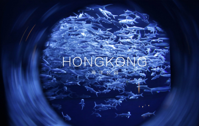 香港兩日一晚海洋線無(wú)強(qiáng)制消費(fèi)（誠(chéng)信精品游）